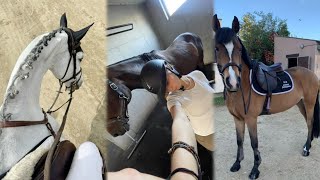 The best TikTok videos for Equestrian🐴 #20