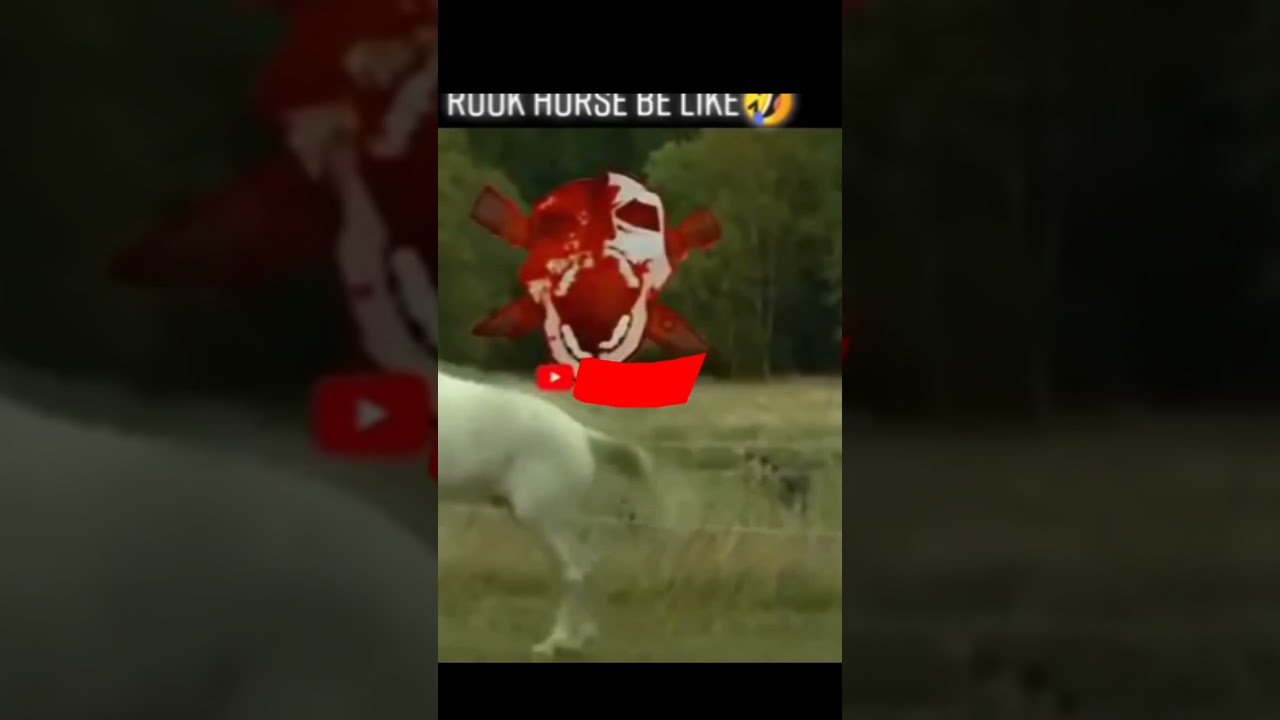 RUOK FF HORSE BE LIKE...😂😂 