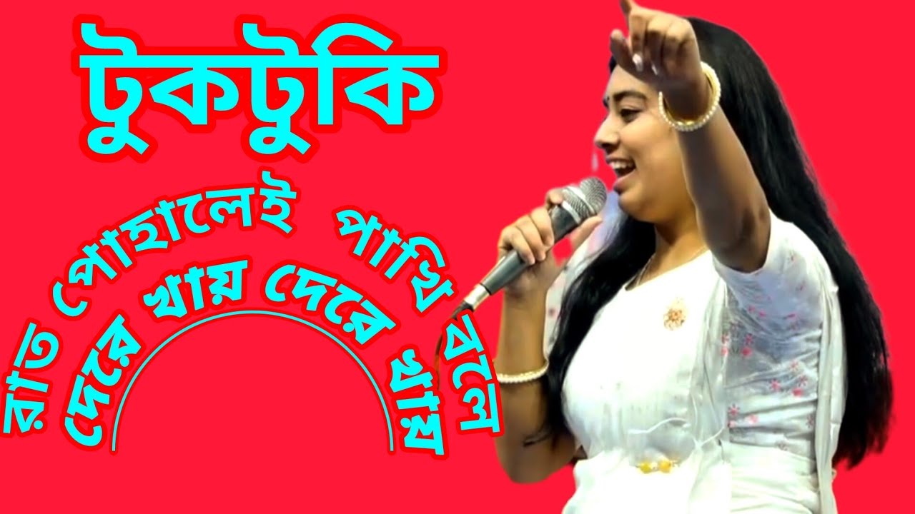 আমি গুরু কার্য মাথায় লয়ে কি করি আর কোথায় যায় রাত পোহালেই পাখি বলে দেরে খায় দেরে খায় || টুকটুকি