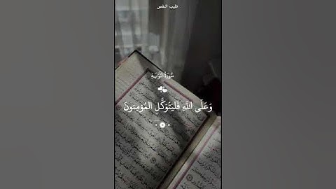 ما تيسر من سورة التوبة #قرآن #كريم #المصحف #اكسبلور #لايك #راحة_نفسية #دويتو #حالات_واتس