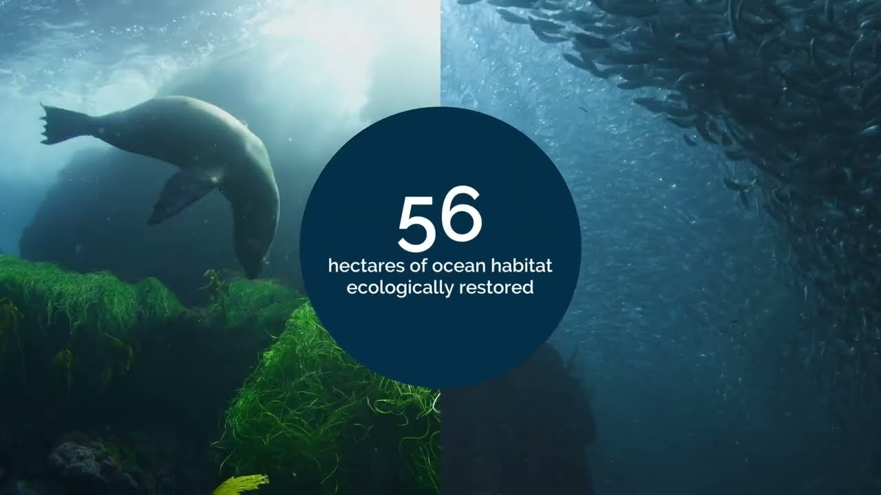 Travelopia & Blue Marine Foundation 3-Year Partnership