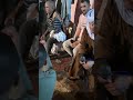 مدح بسنتي حمى الحفصي
