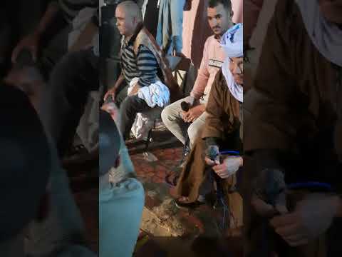 مدح بسنتي حمى الحفصي