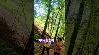 공기 좋은 치악 산의 하루