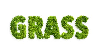 How to create grass typography with the Art Text app screenshot 5