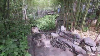 5430 O'Donnell Lane Glen Ellen, CA 95442 ~ Downtown Glen Ellen present by Tina Shone