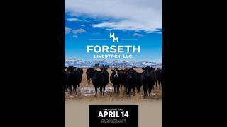 Forseth Livestock Llc - Online Sale