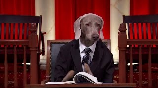 Stern v. Marshall: Oral Argument - January 18, 2011