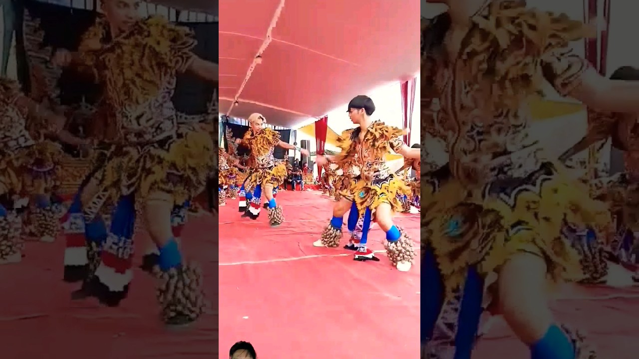 BUTO GEDRUK ✨️‼️ 