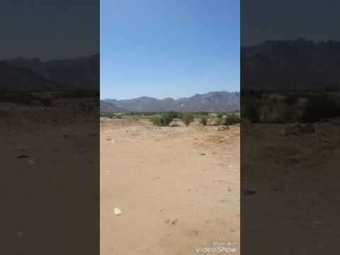 جديد الفنان القدير ابو عسكر يا غزال الوسيعه