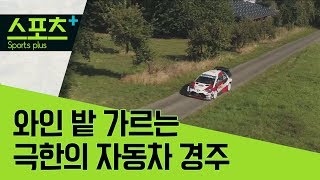 [스포츠+] 와인 밭 가르는 극한의 자동차 경주 screenshot 5