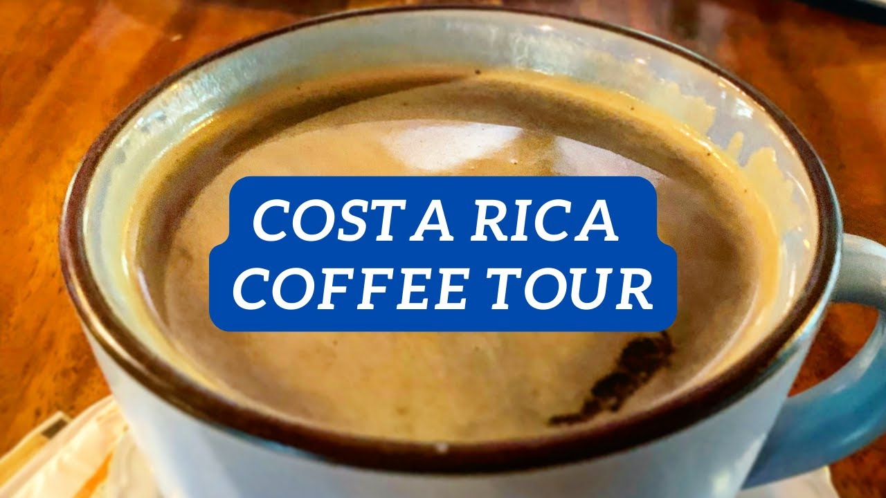 Costa Rica Coffee Tour close to San José: Doka Estate