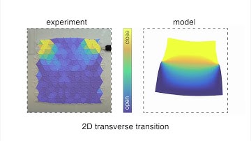 Guided transition waves in multistable mechanical metamaterials