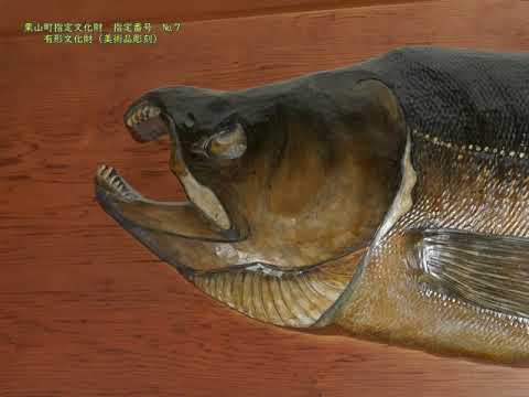 【ナレーション有・栗山町文化財　👑No.7】「千瓢彫」本田数馬翁の遺作『木彫の鮭』
