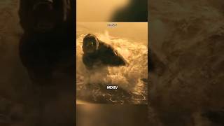 Kong perdeu a paciência nessa cena 🦍😳