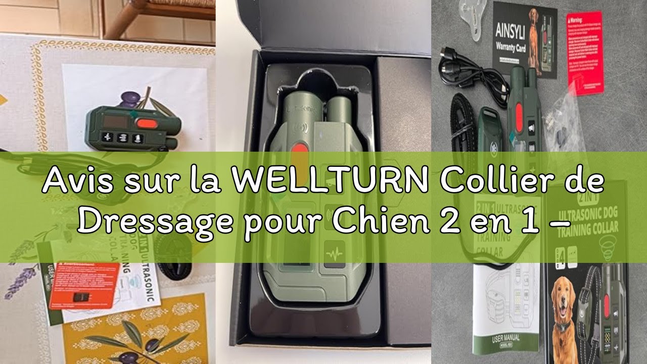 Avis sur la WELLTURN Collier de Dressage pour Chien 2 en 1 – Mode Ultrason Anti-Aboiement (Portée 5