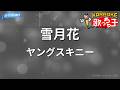 【カラオケ】雪月花/ヤングスキニー