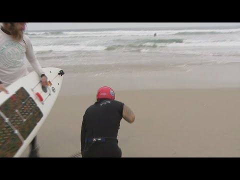 Video: Surfing Therapy Dog hjälper till att läka veteraner och personer med funktionshinder