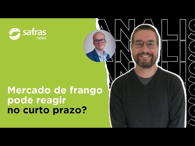 Mercado de frango pode reagir no curto prazo? – Conversa com o Analista