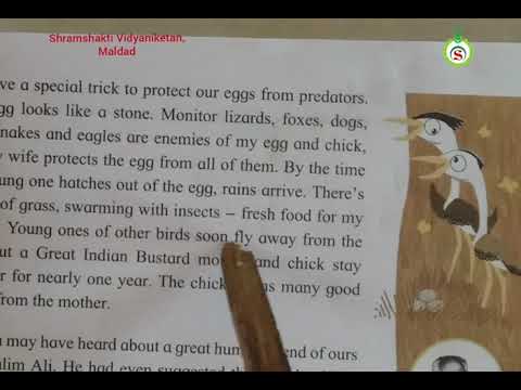 6th STD English Autobiography of Great Indian Bustard Lecture 03 