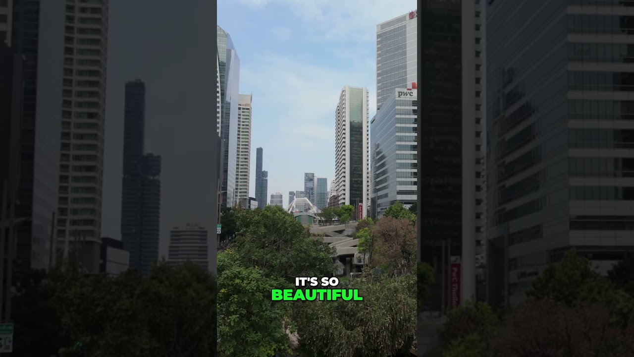 Bangkok Adventure  Nature, Vendors & Grocery Hunt!