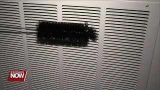 Are Hidden Allergens Lurking in your Home?