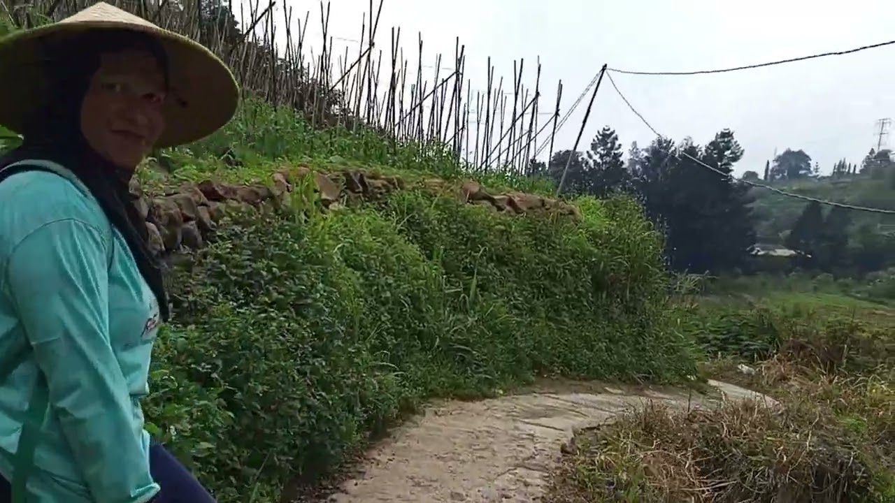 TAKUT JALAN KECIL PINGGIR JURANG