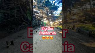 Magical light in Big Sur California #BigSur #california #ocean #travel #usa #usatravel #sunlight #us