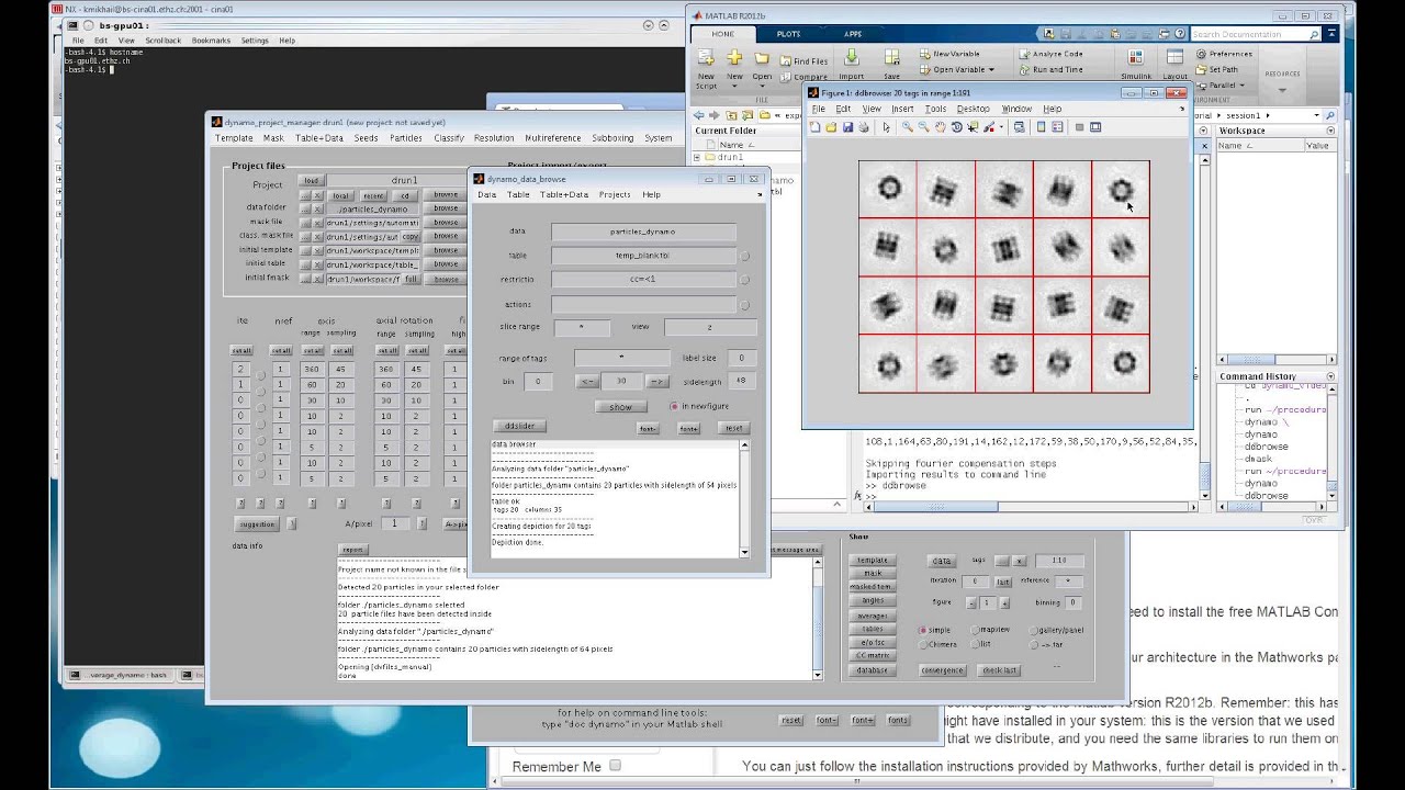 Session 1. Basics of sub-volume averaging with Dynamo