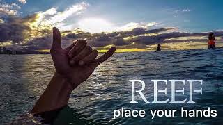 Reef - Place Your Hands