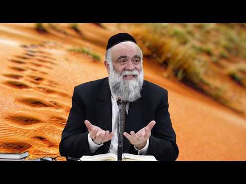 משל מצמרר! אתה לא לבד גם ברגעים הקשים! - הרב משה פינטו HD