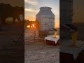 Bear In, Honey Out – Futuristic Short Video 🍯