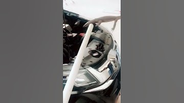 lizards very good grip #pythons #how #wild #reptileshow #frog #lizrds #sloth #rats #hedgehogs