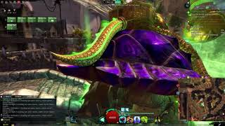 RISE Turtle Race Through Divinity's Reach