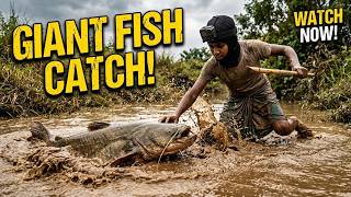 Il attrape un poisson dans la boue, un éléphant projette une fille et il trouve une boîte pleine ...