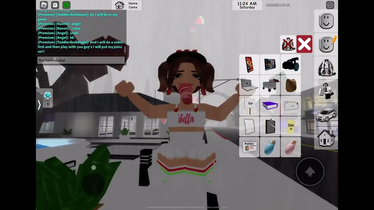 i-am-doing-a-meet-and-greet-so-follow-me-on-roblox-my-user-is-ganepas