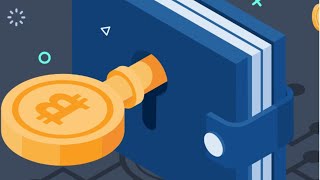 The ULTIMATE Beginner's Guide to Crypto wallets