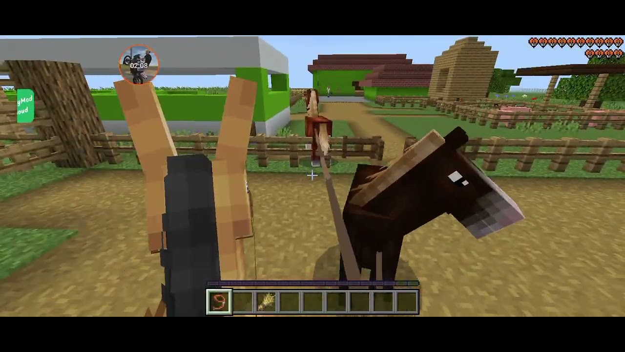 comprei dois garanhão novo