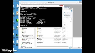 Compiling using lcc-win
