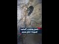 منقب سوداني يوثق لحظات مرعبة إثر مفاجأة أفعى المامبا السوداء السامة في نفق المنجم 