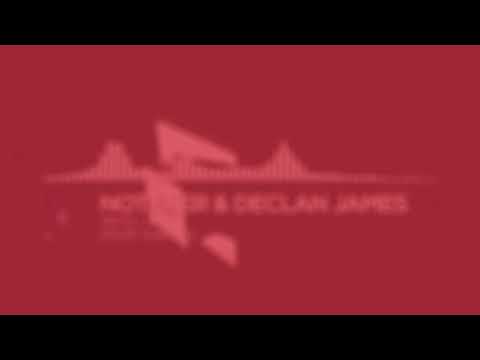 Notaker & Declan James - Who I Am (feat. Karra) | Demons R Reel |