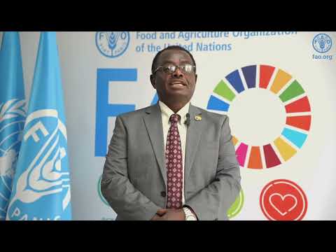 Transforming Africa's Agrifood Systems Through Science & Innovation | FAO's Abebe Haile-Gabriel_ Am