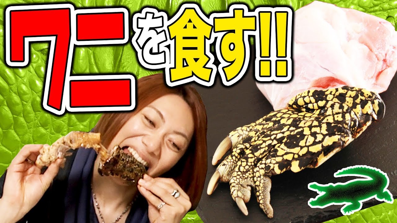 【ワニ肉】これは見た目が超ワーニング！ワニ肉食べ比べ！！【MSSP/M.S.S Project】