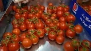 M6 Capital   Fruits Et Légumes Pourquoi Si Chers