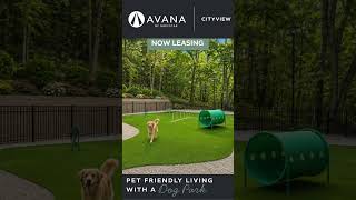 Avana Cityview (Social) | Marietta GA Apartments | Greystar