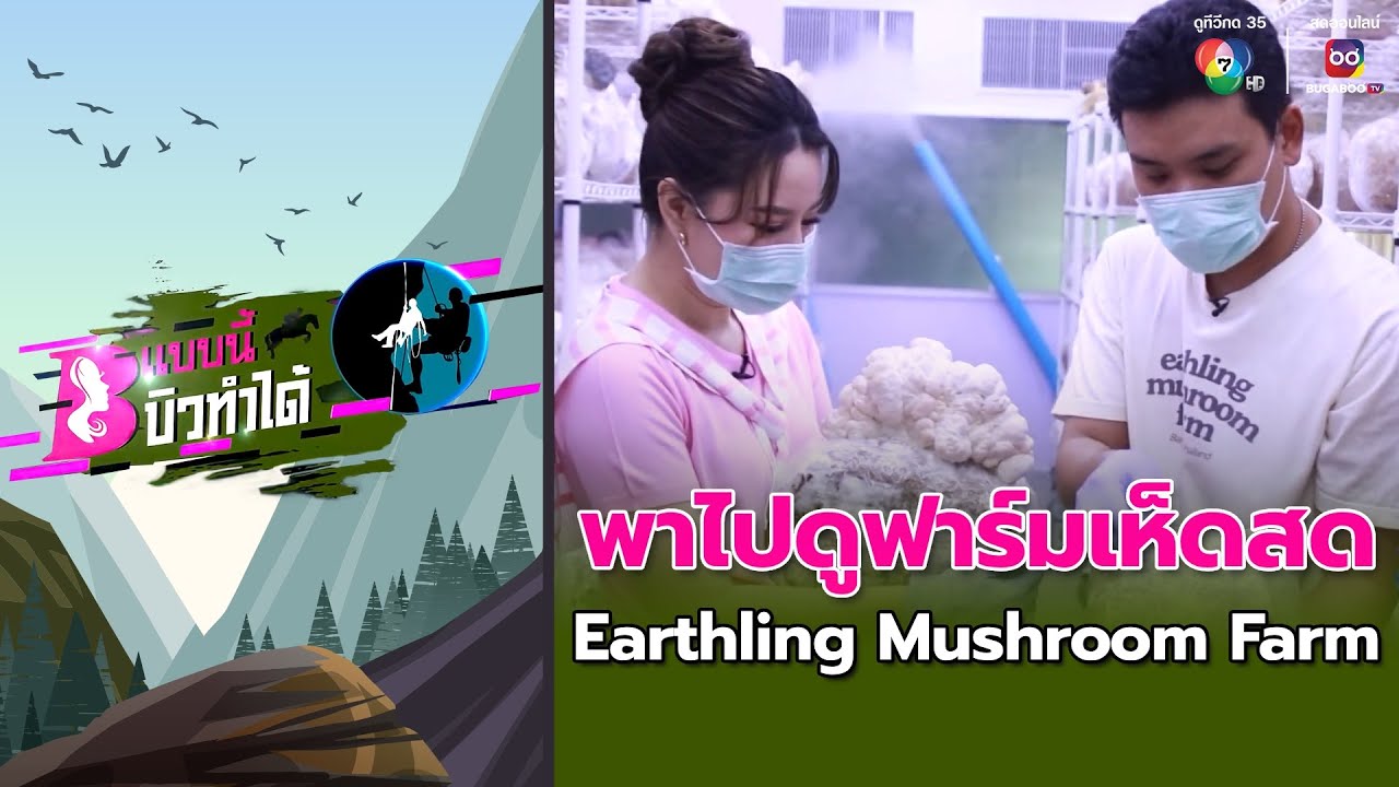 แบบนี้บิวทำได้ : Earthling Mushroom Farm ฟาร์มเห็ดสด
