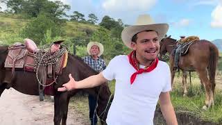 ALEJANDRO CORRALES EN LA SIERRA DE SURUTATO CON LAS BEEFMASTER 🐴🌲🐜🎥🐄🤠#ranchero95