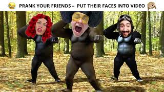 1920x1080 Dancing gorilla 2 15s screenshot 5