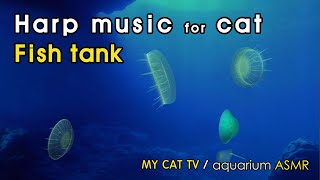 [MY CAT AQUARIUM] a jellyfish tank for cats by MY CAT TV 53 views 1 day ago 2 hours, 18 minutes
