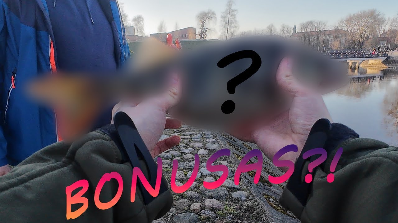 Atšilo oras, suaktyvėjo žuvys - avižadrebis  